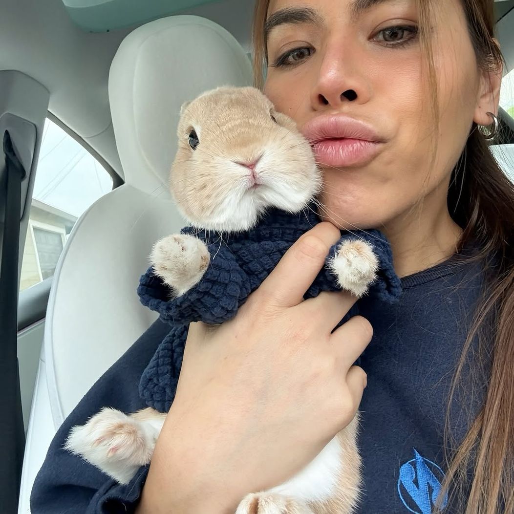 “He’s not a pet, He’s a travel companion 🧳🐇🌴” #bunnydayoff #bunny#brand #fashionista #rabbits