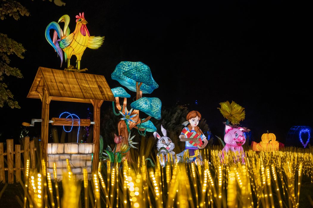 GARDEN OF LIGHTS-194