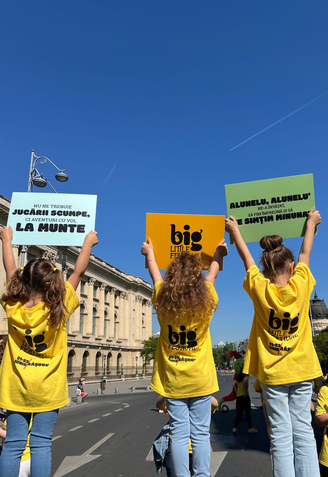 Big Little Festival Flashmob 3