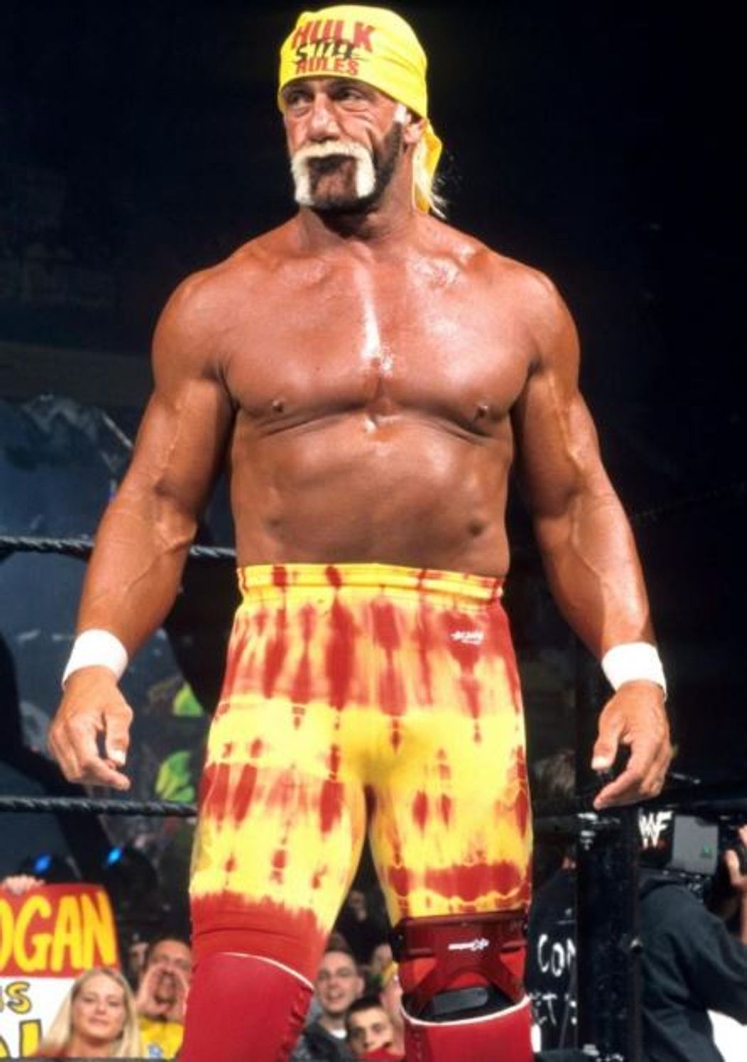 hulk hogan-botez