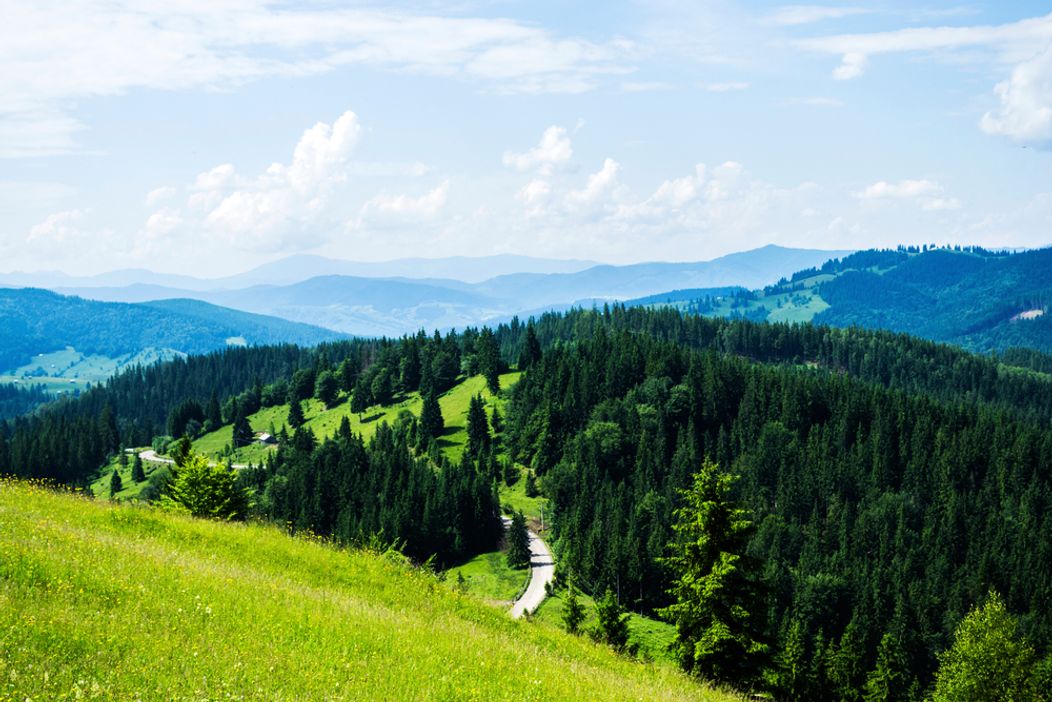 shutterstock_1708916029