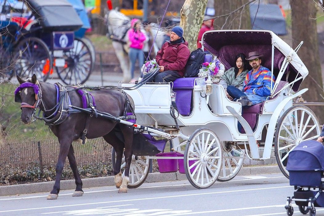 Nicolas Cage și-a plimbat a cincea soție cu trăsura, prin New York
