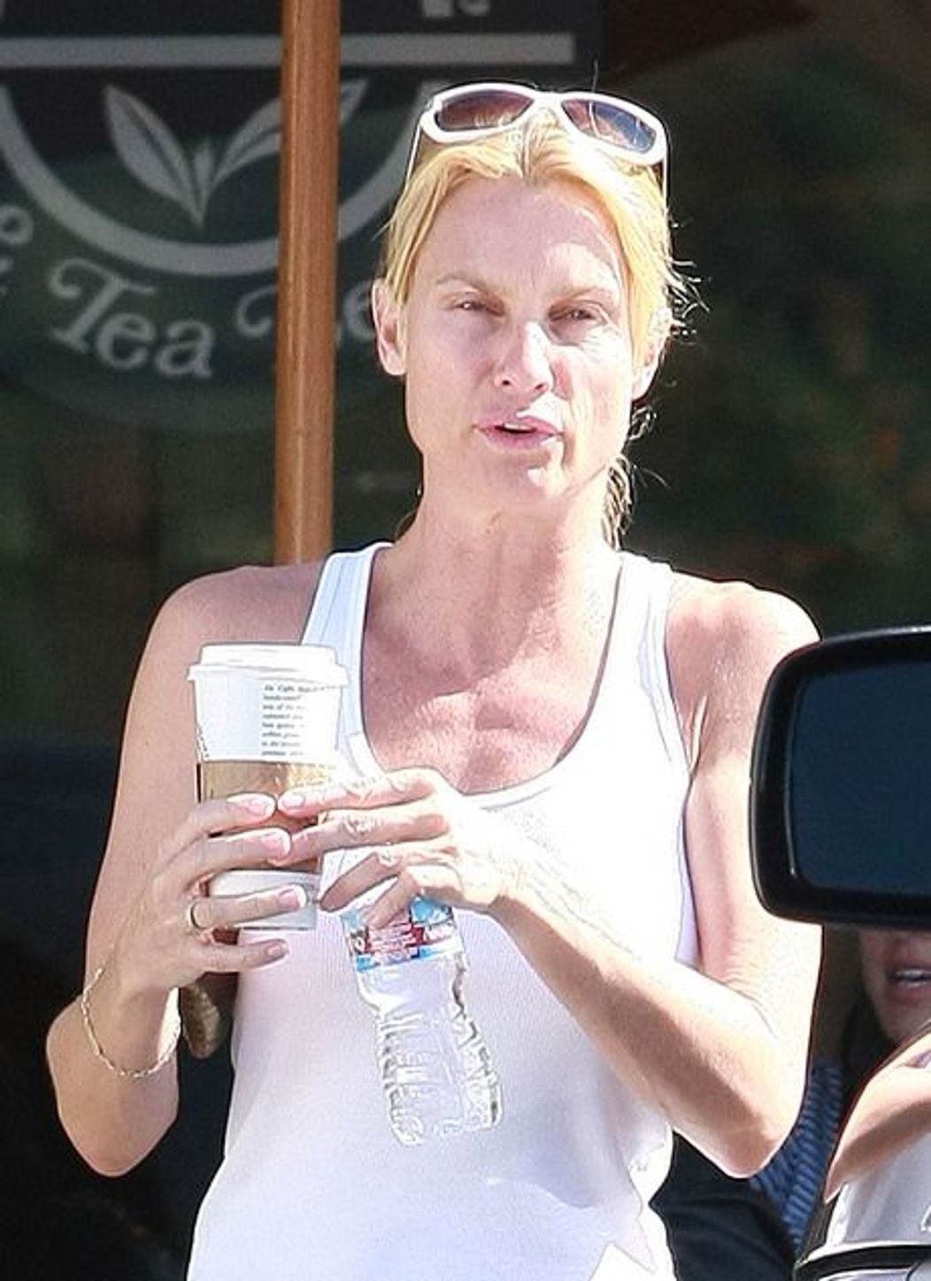 Nicollette Sheridan