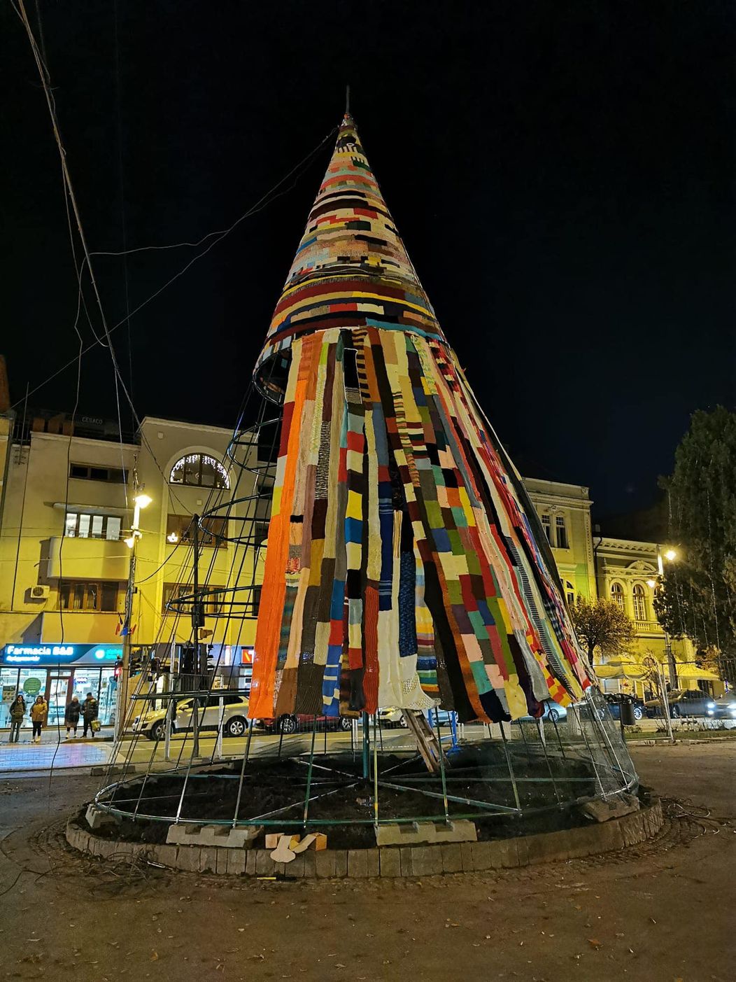 bradul din Targu Mures