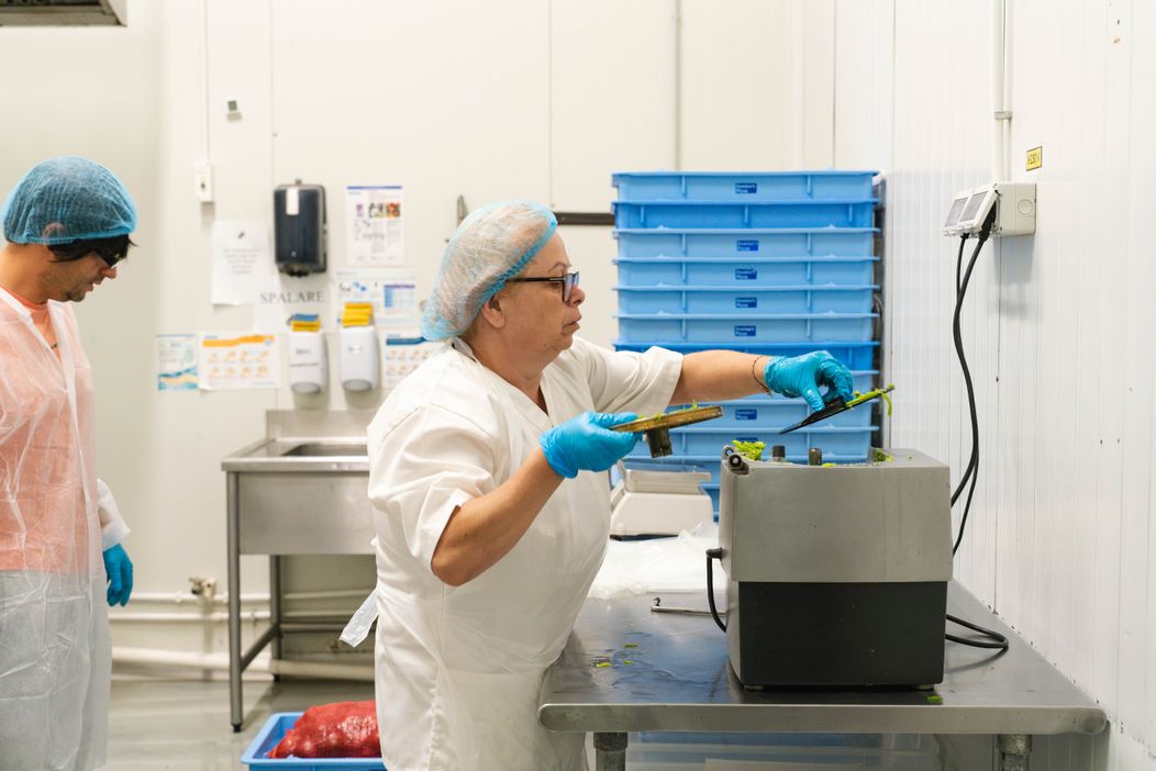  Șef sub acoperire, 21 noiembrie 2024. Dragoș Popa merge la fabrica de producție Domino's Pizza, unde o cunoaște pe Claudia Leca. Pâna ca ziua de muncă să se încheie, acesta sesizează o probl (7)