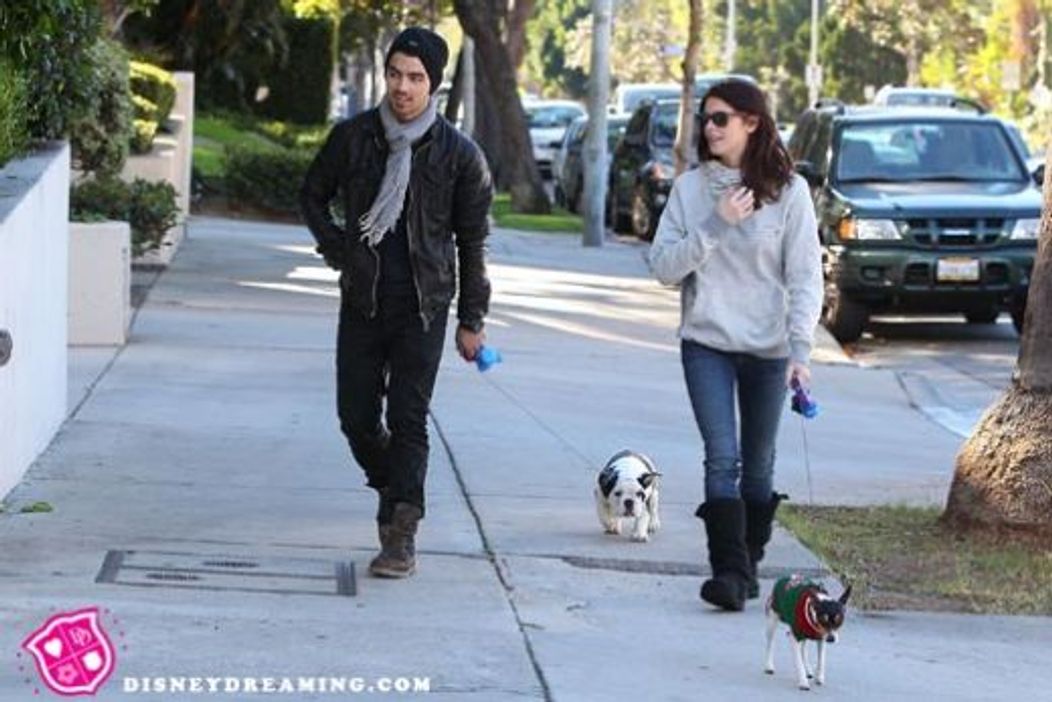 Joe Jonas si Ashley Green