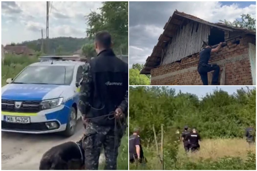 raisa disparuta cautari