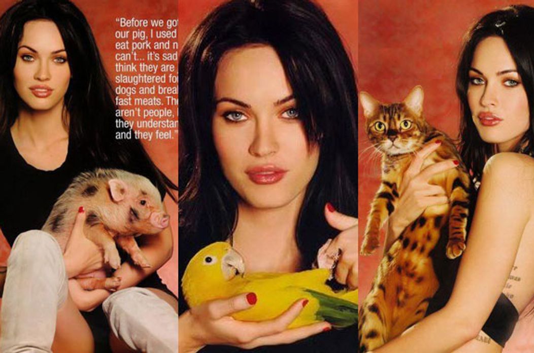 Megan Fox