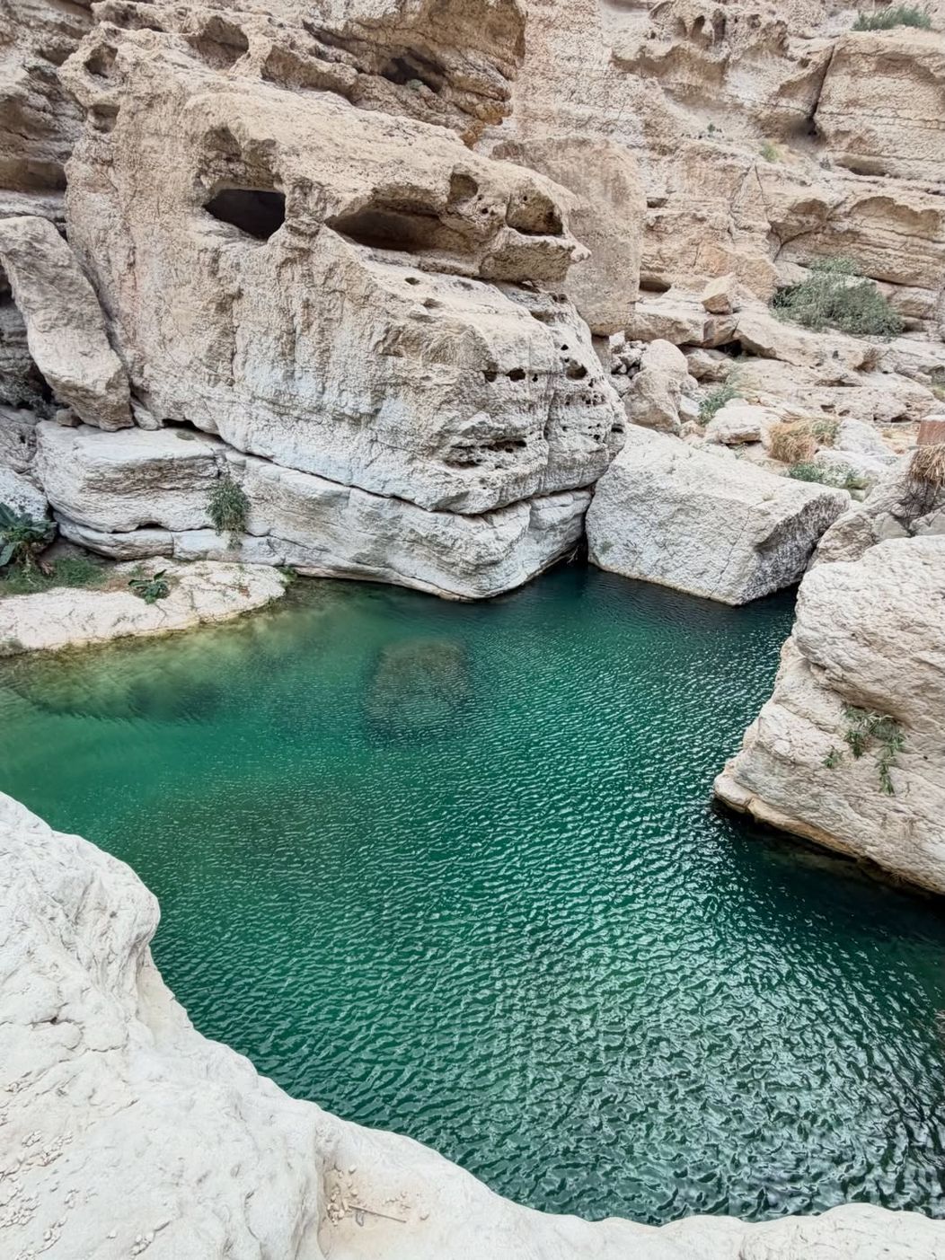Locul asta e mult mai spectaculos in realitate 🌴🌴🌴 (7)