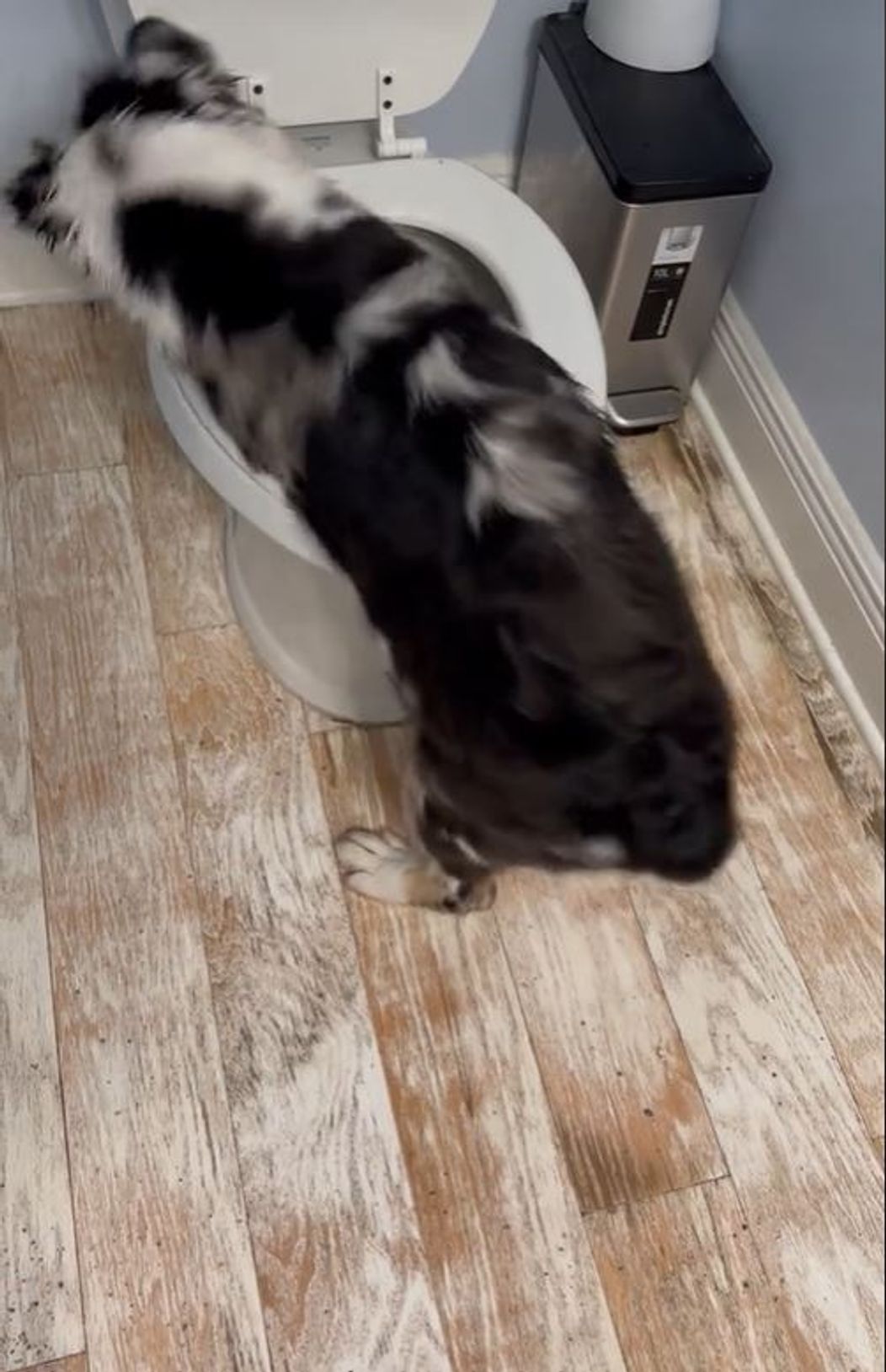 ewfqwef