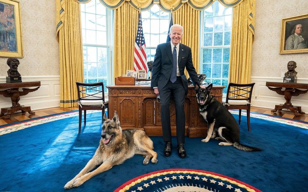 Câinii lui Joe Biden, mutați de la Casa Albă după ce au devenit agresivi. Unde au ajuns patrupedele