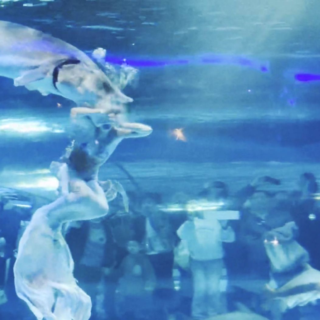 big-fish-attacks-mermaid-performer-967538635