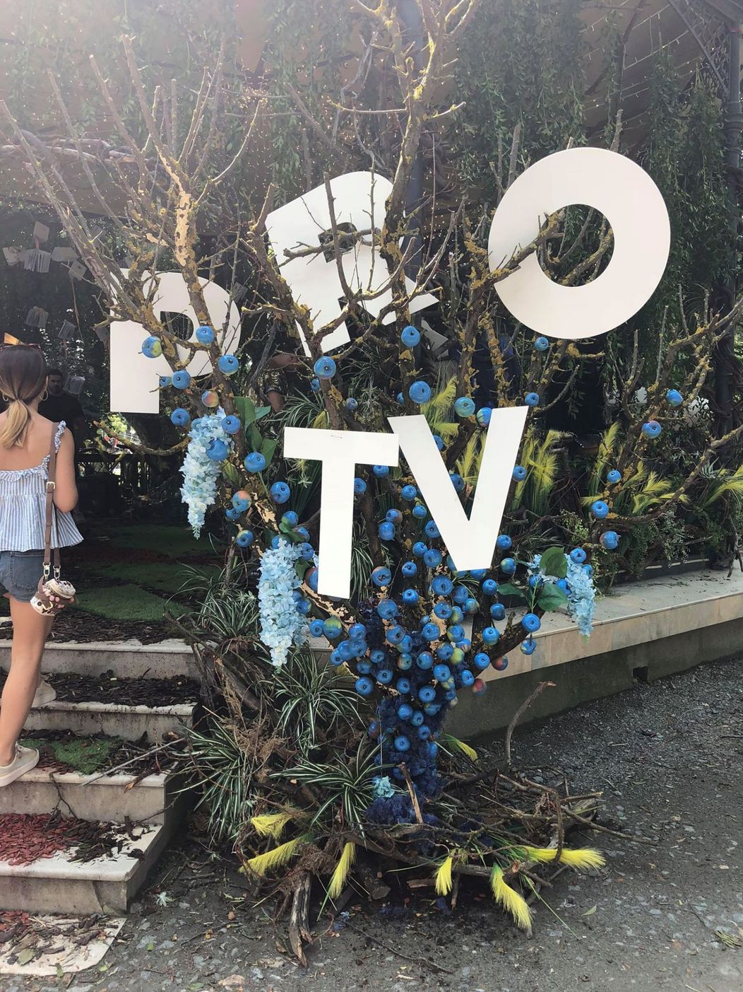 UNTOLD 2018 PRO TV