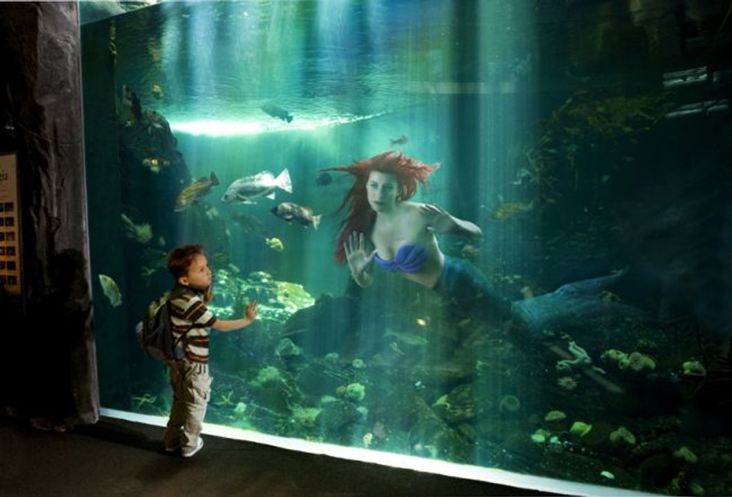 Ariel din "Mica Sirena"
