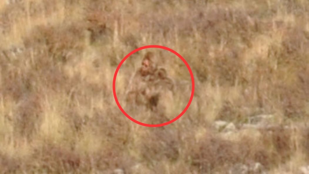 Bigfoot_Shannon_Parker_10112023