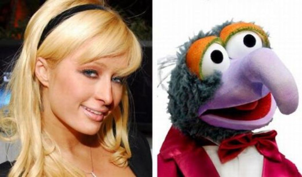 Paris Hilton vs Great Gonzo