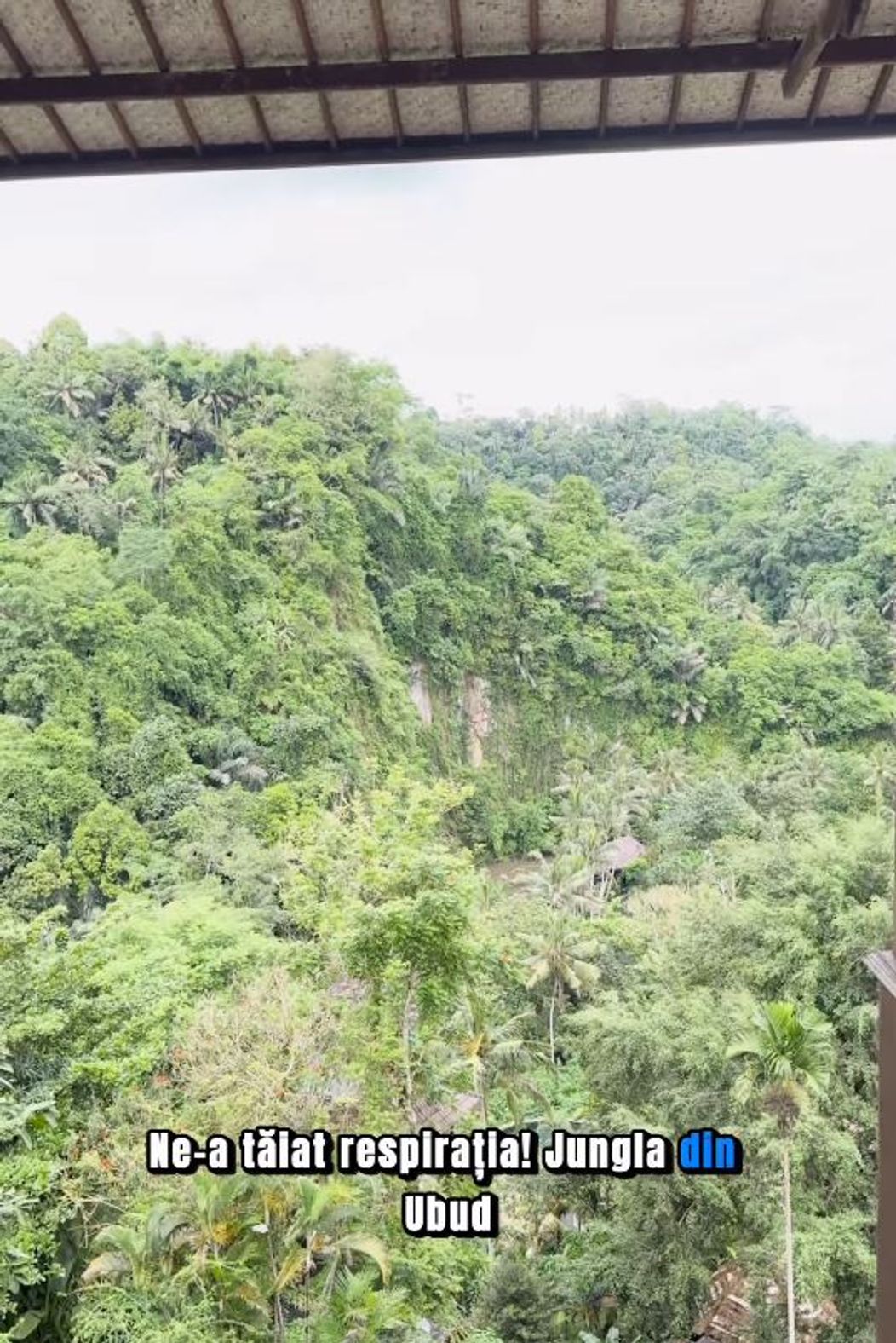 ubud junglask