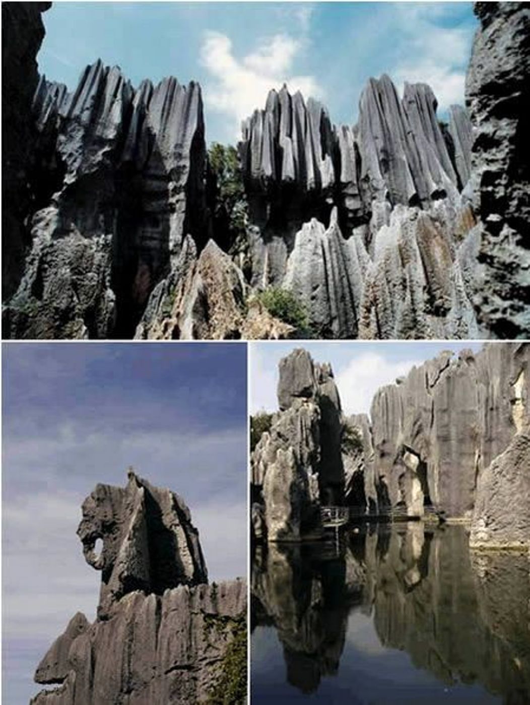  8. Padurea de piatra (China)