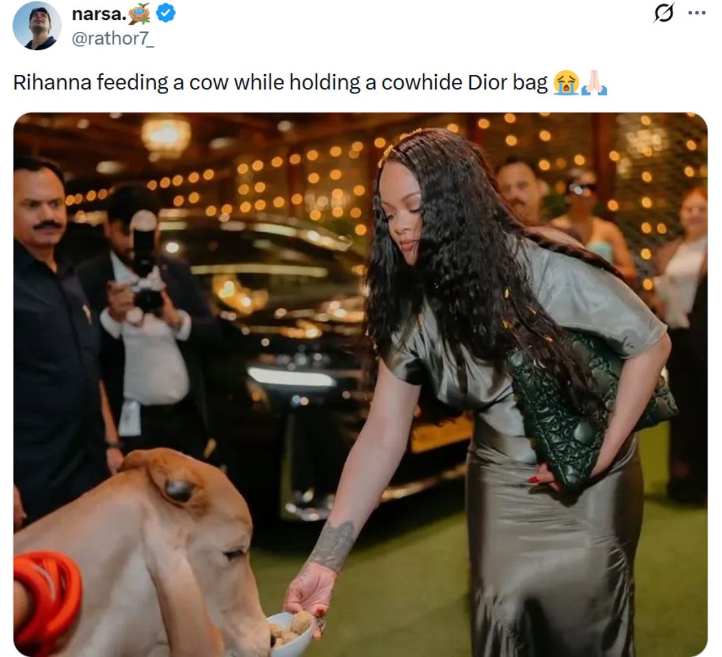 vizita rihanna india