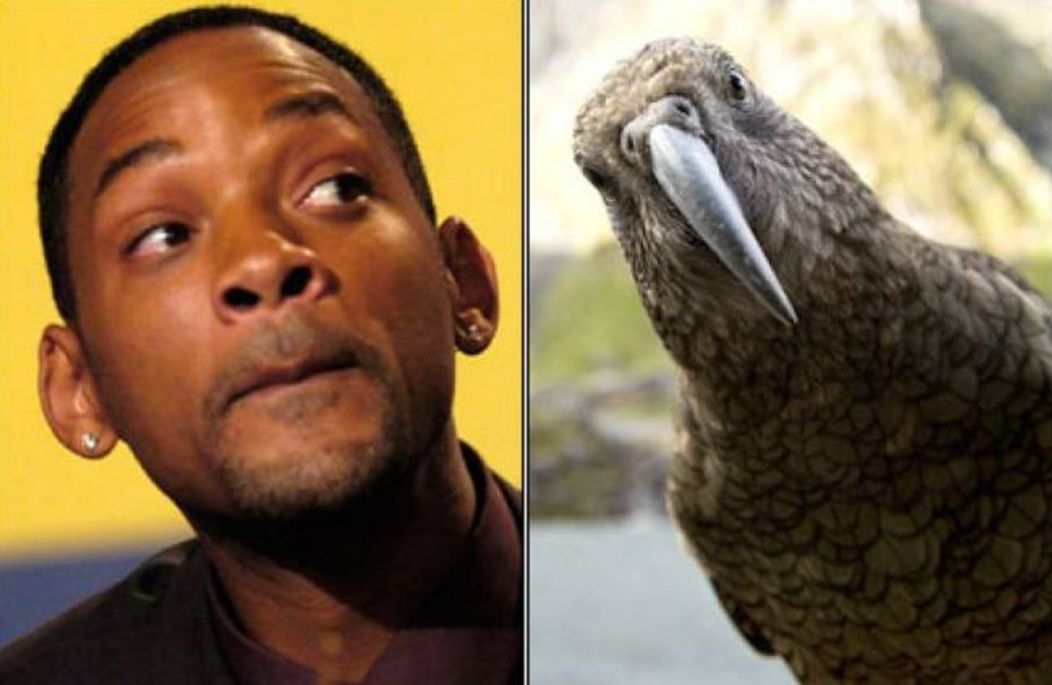 Will Smith