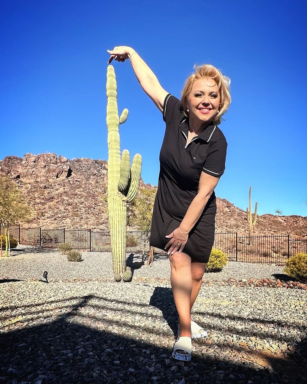 cornelia rednic arizona