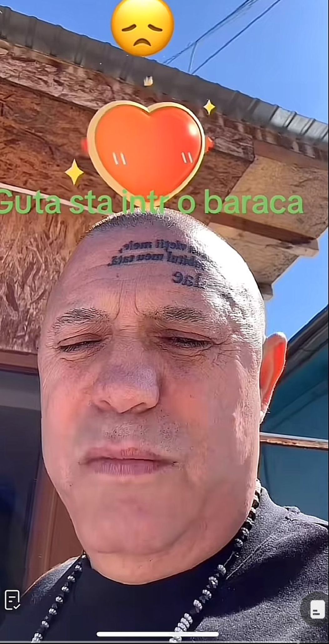 nicolae-guta