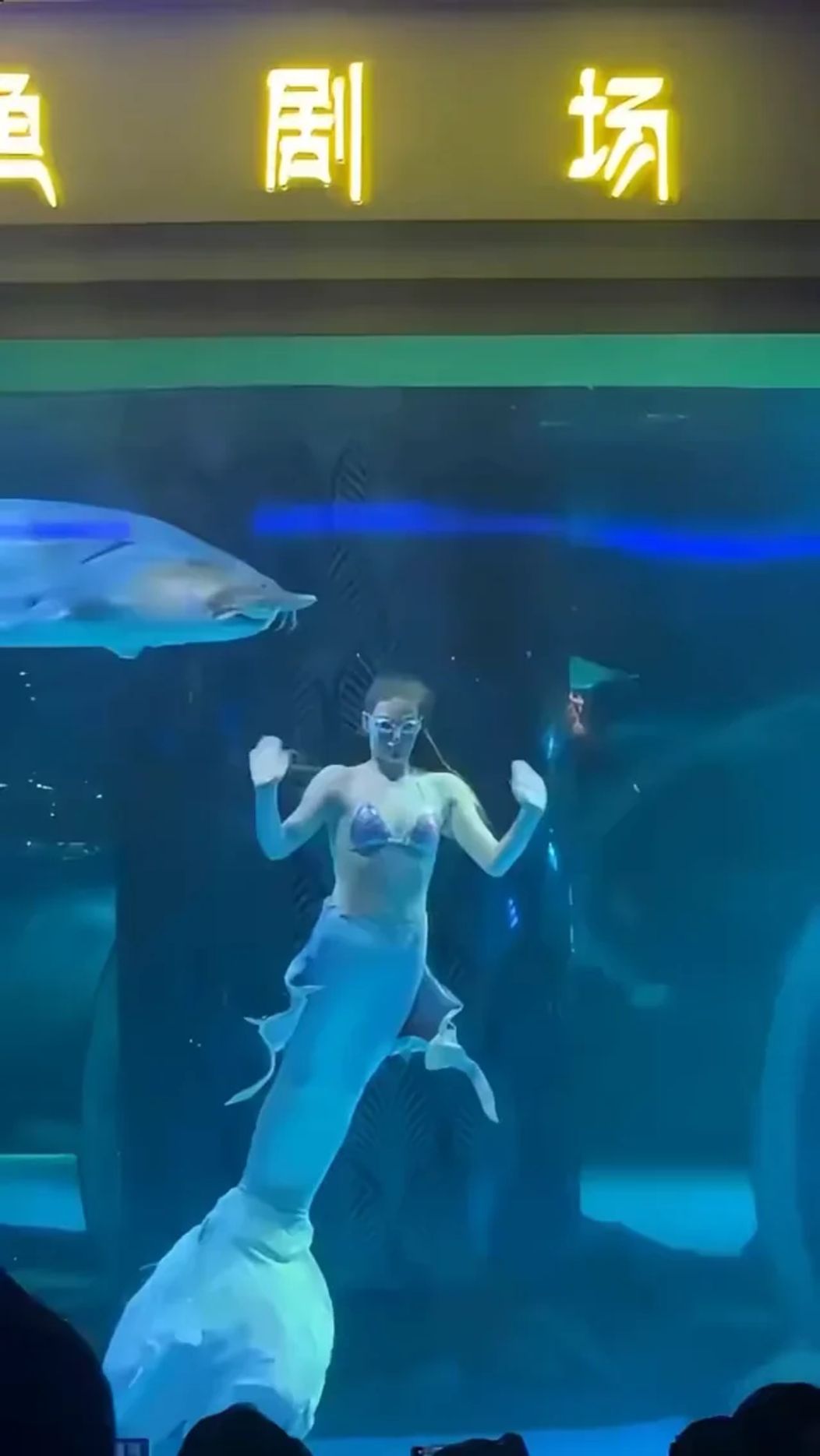 a-sturgeon-in-an-aquarium-tried-to-swallow-a-woman-dressed-v0-YTAzbmtnMzZ4eGZlMVUwKGlpfaEx4qfrAHZ0q5f-sdcOsw9PbRQ6CgPyOSiz