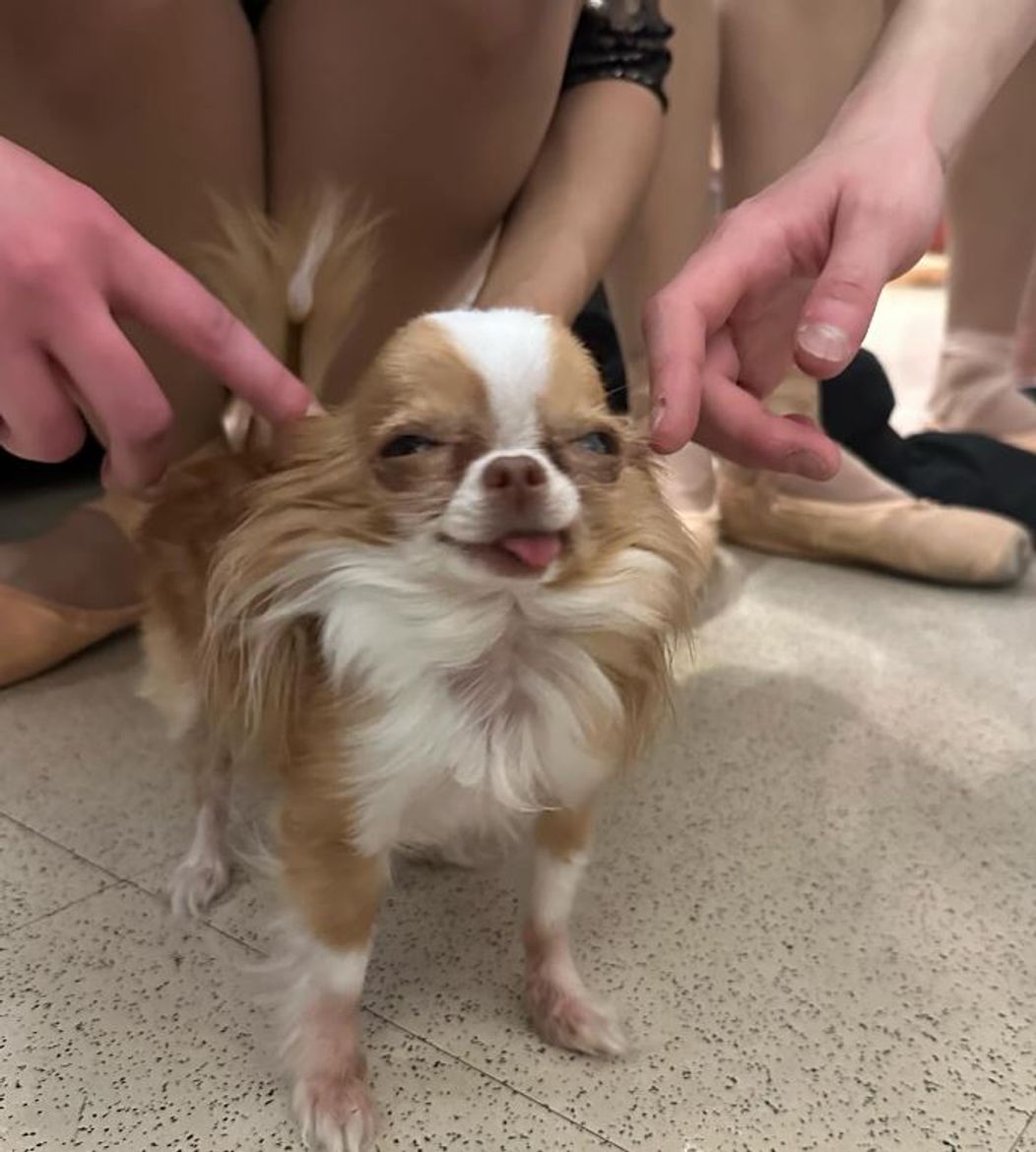 ewwgwe