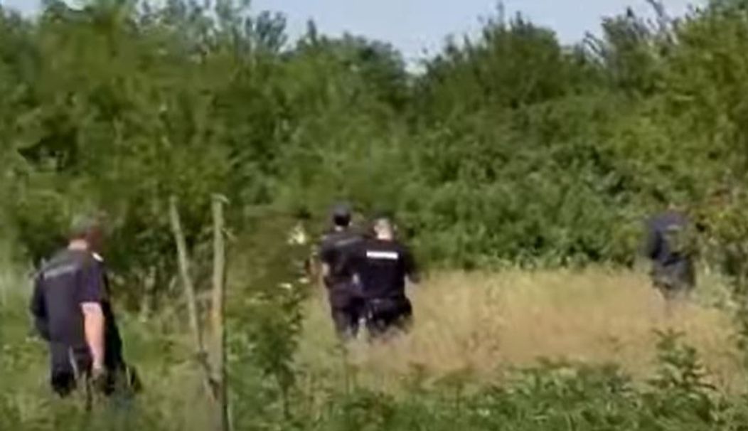 politie padure