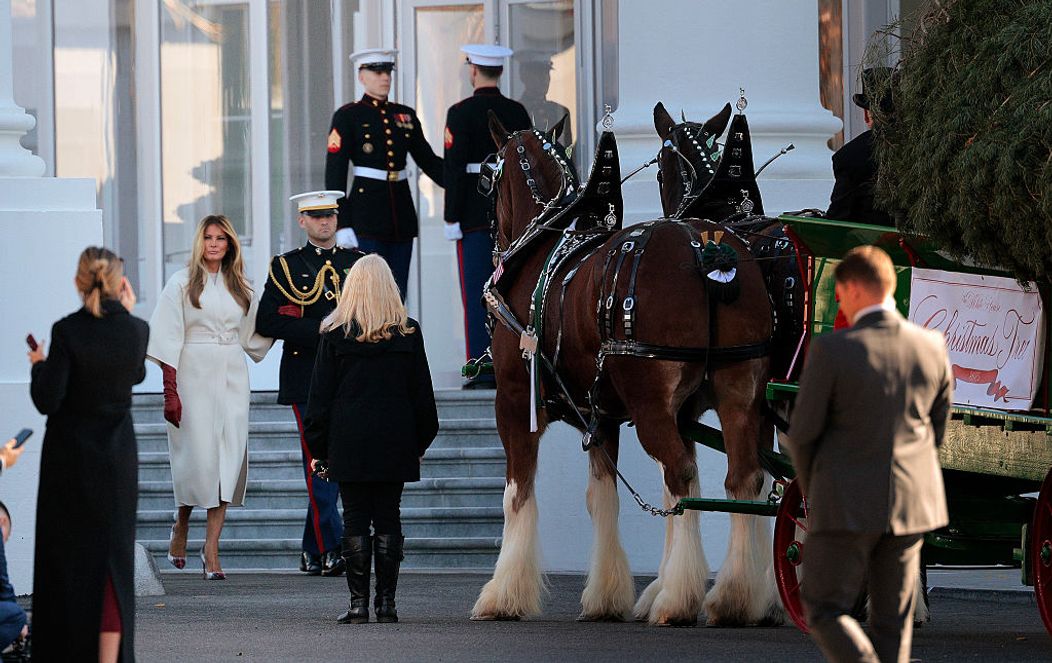 GettyImages-2248270575
