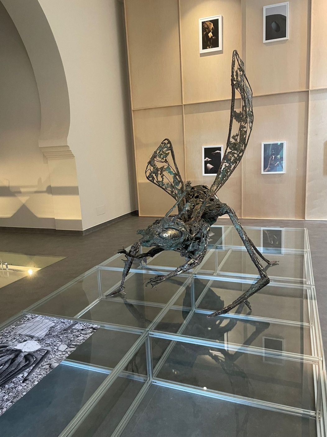 Expozitie Baia Turceasca