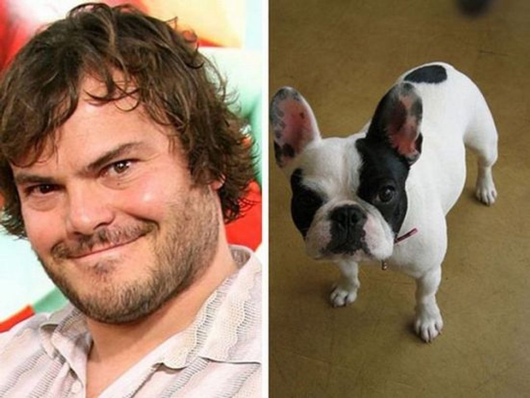 Jack Black