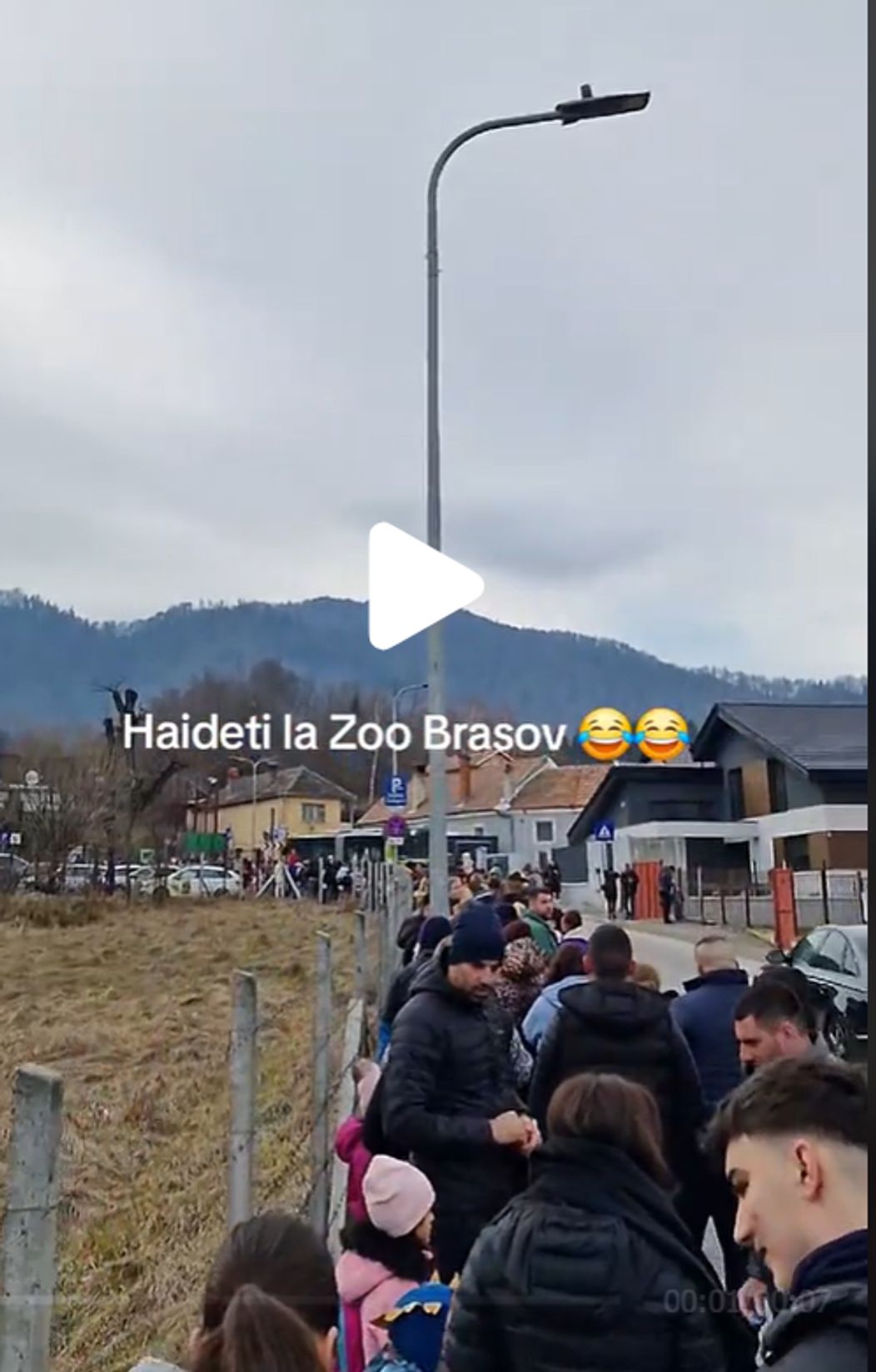 zoo 12454