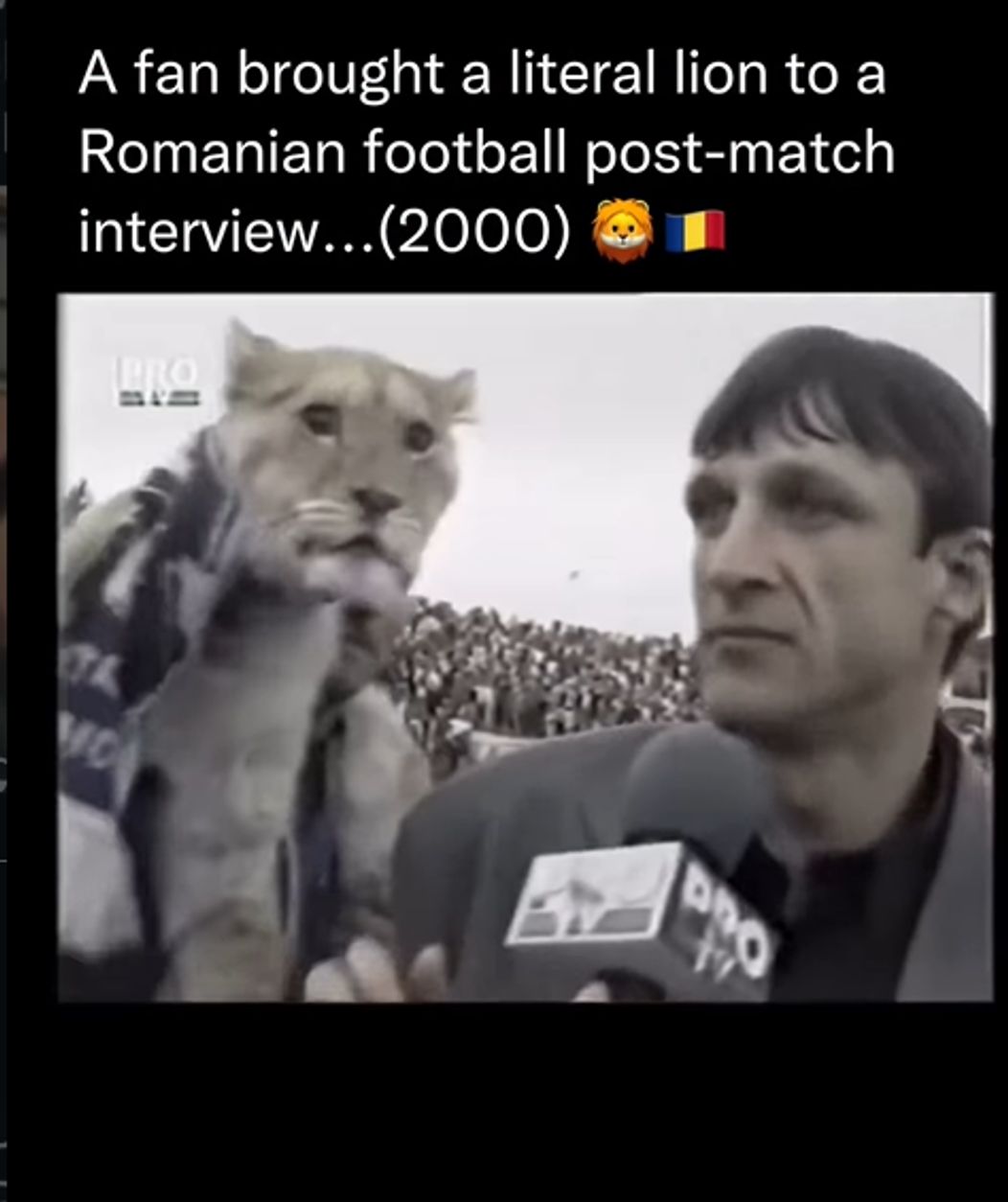 Screenshot 2026-01-09 083620