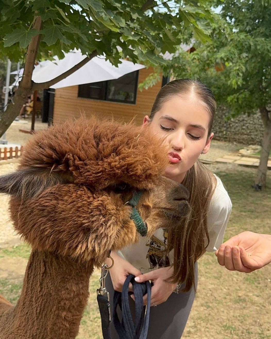 in looove🦙🤍 had the best time @thetribealpacaretreat !✨ (1)