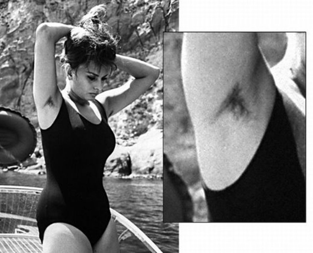 Sophia Loren