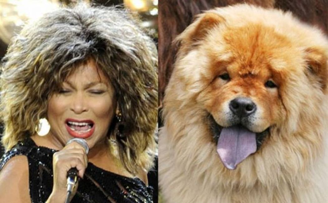 Tina Turner