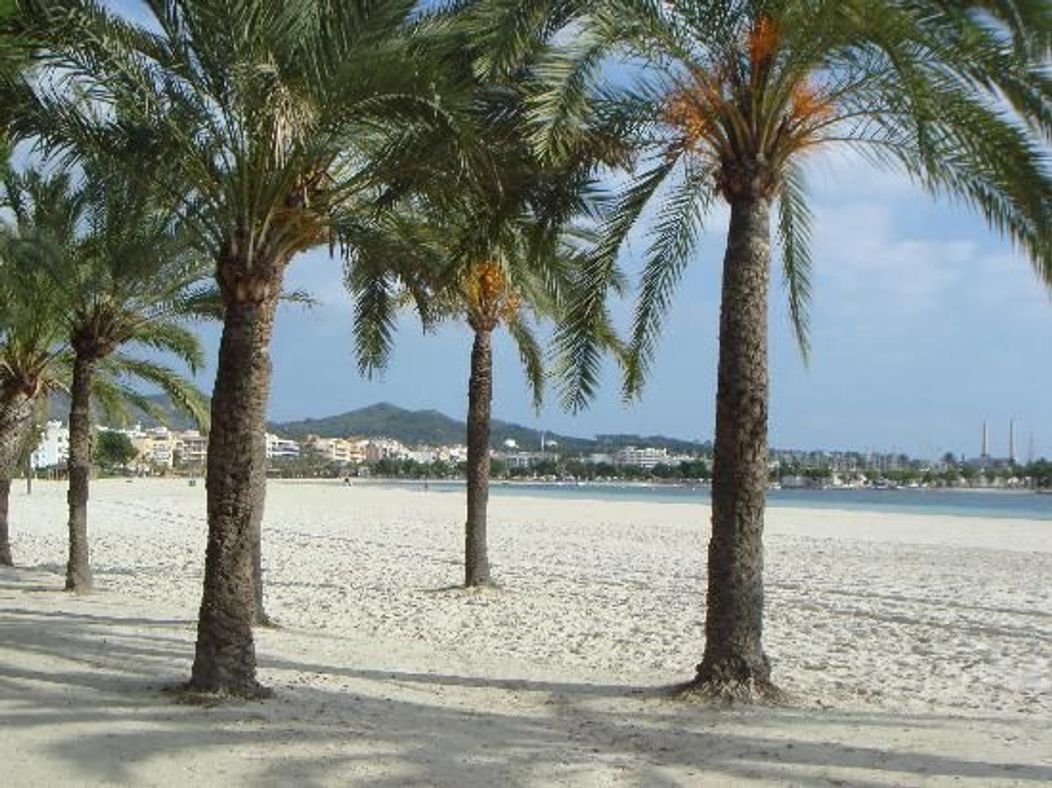 Alcudia, Insulele Baleare,Spania