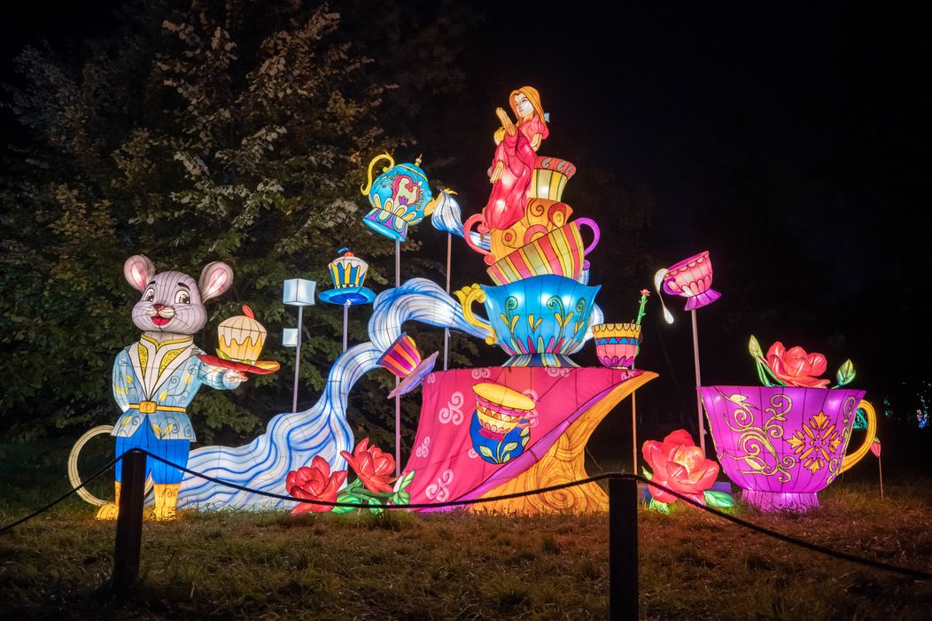 GARDEN OF LIGHTS-227