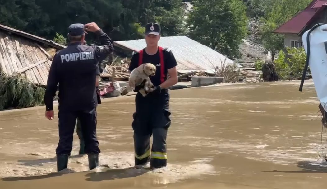 Captură de ecran 2025-07-29 132658