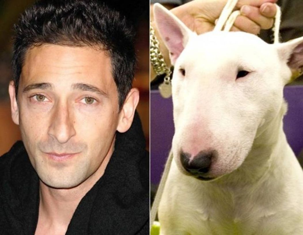 Adrien Brody