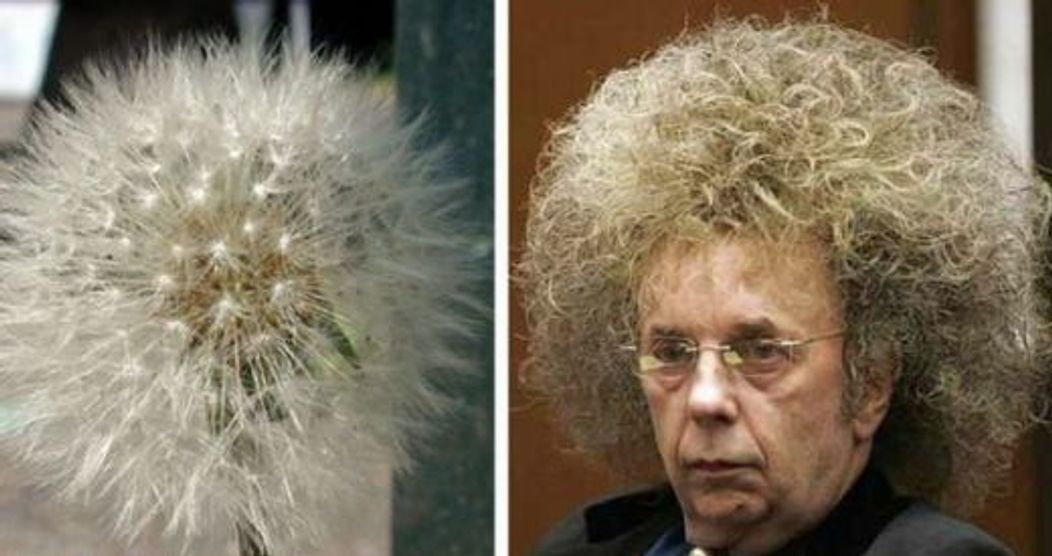Puf de papadie vs Phil Spector