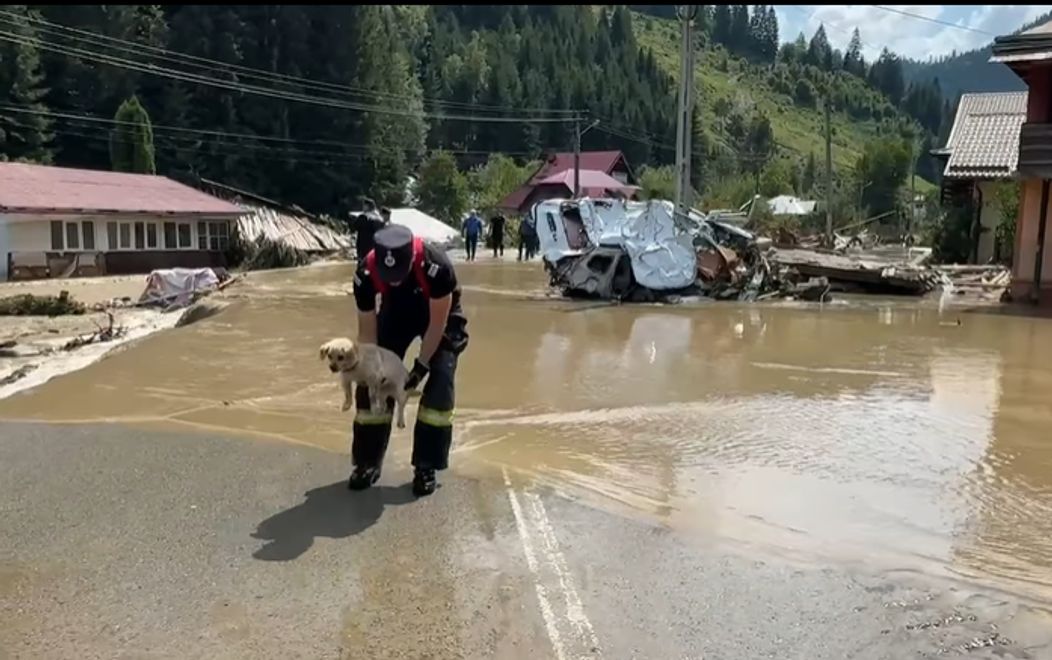 Captură de ecran 2025-07-29 135034