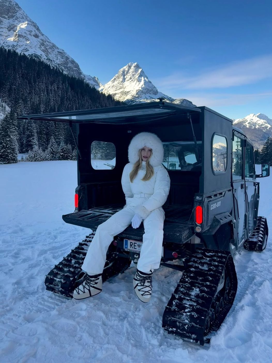 Alpine Hideout ❄️ (1)