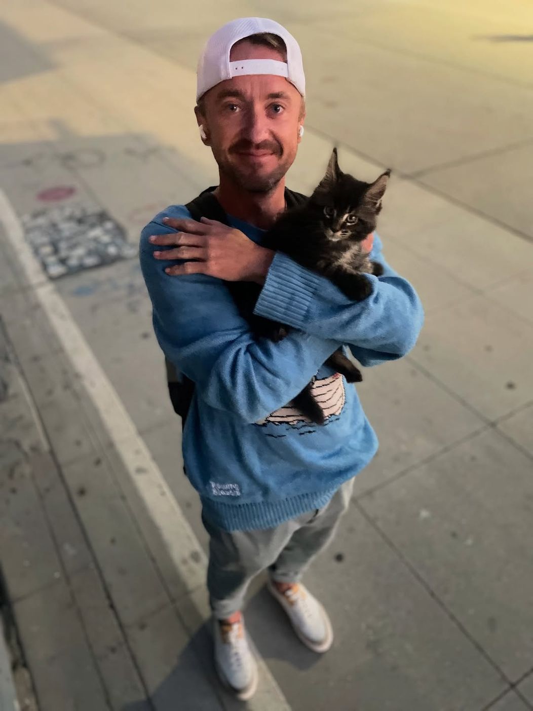 Morning kittens (1)