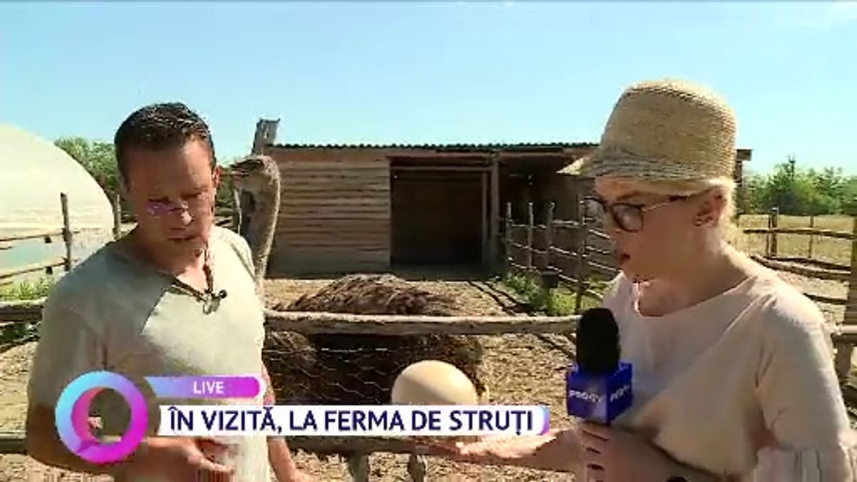 În vizită, la ferma de struți | Scene si bonusuri din Vorbește Lumea ...