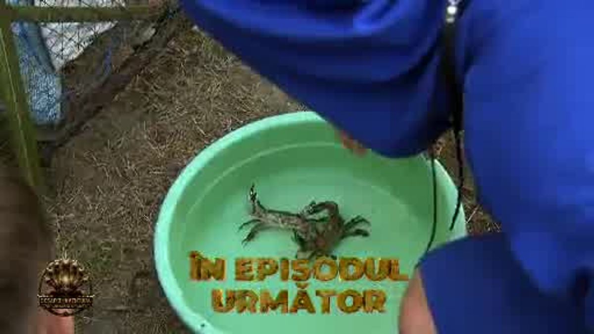Ce urmează în episodul următor Desafio! Totul devine mult mai complicat ...