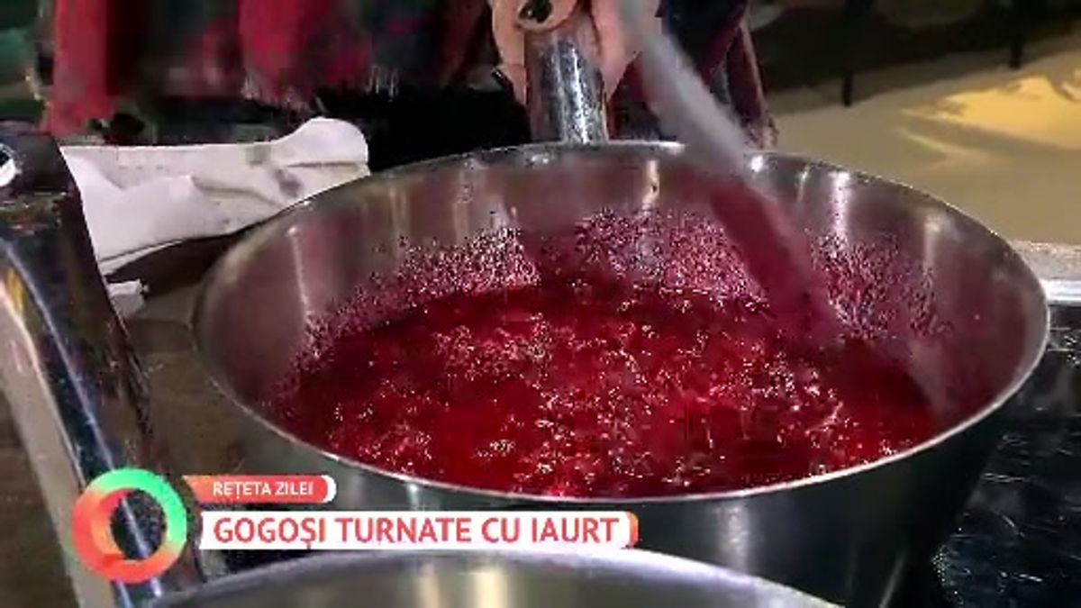 Gogoși turnate cu iaurt | Scene si bonusuri din Vorbește Lumea | PRO TV