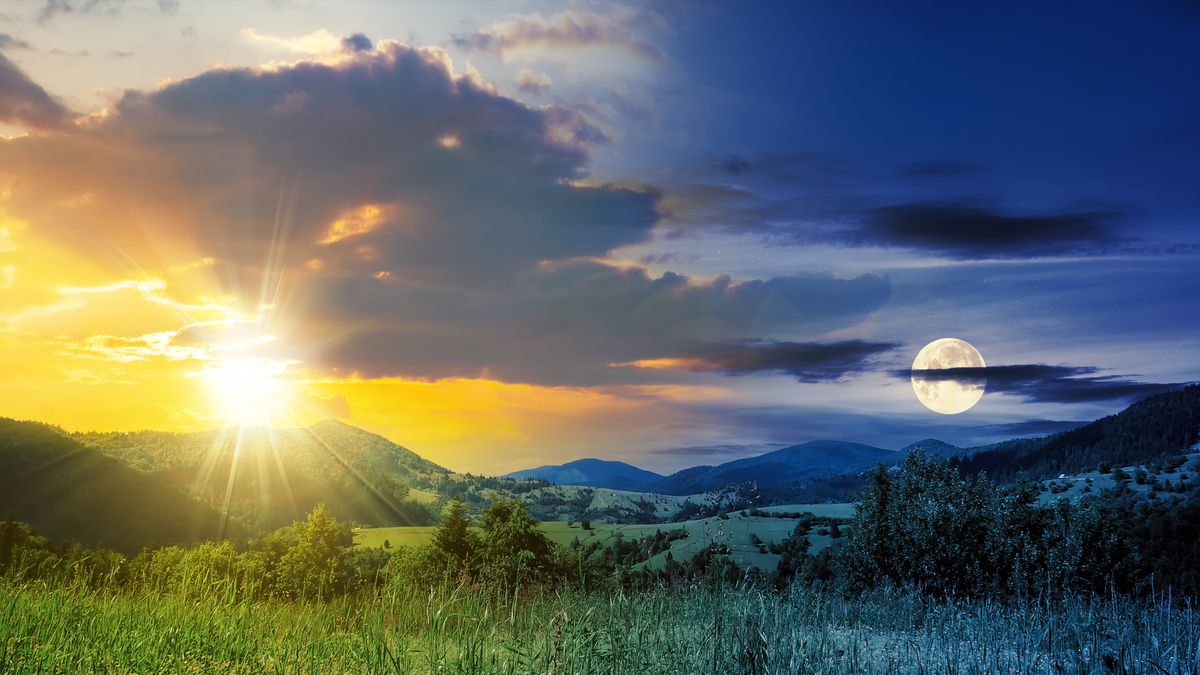 The vibrant energy of a captivating performance