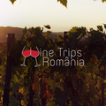Wine Trips România